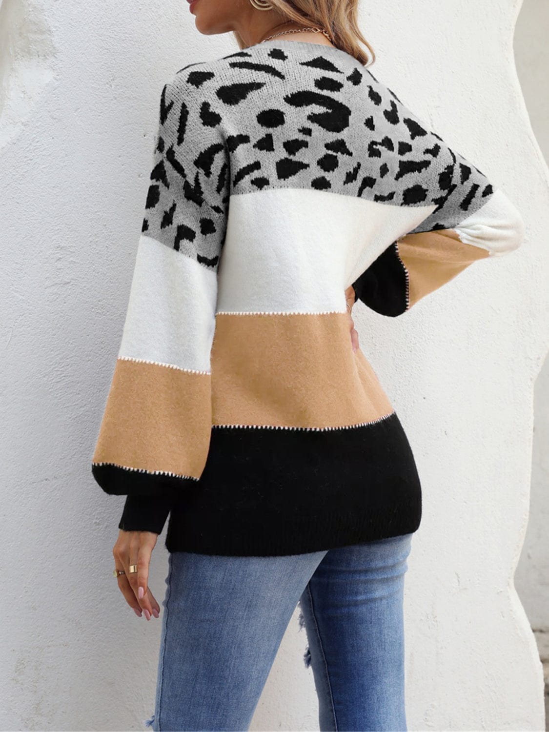 Trendsi Angel Wings Color Block Round Neck Sweater