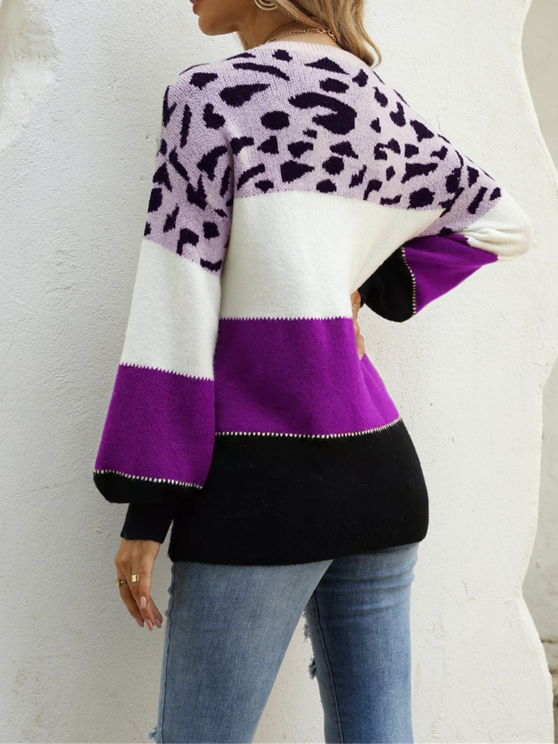 Trendsi Angel Wings Color Block Round Neck Sweater